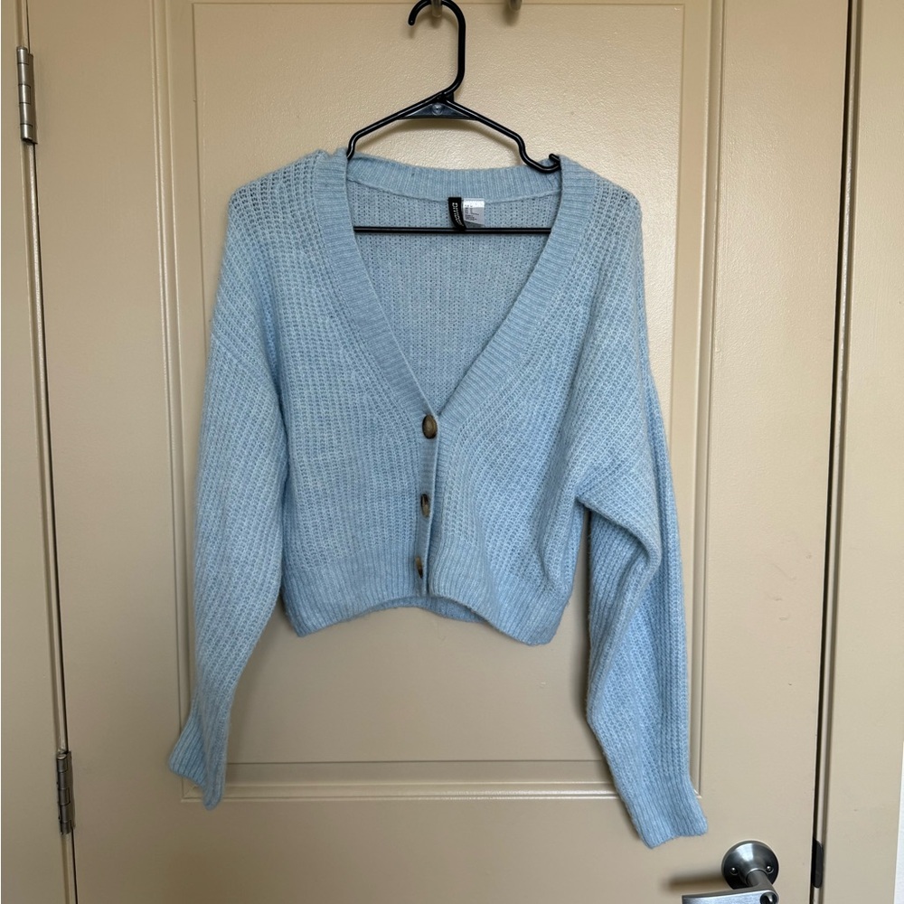 Blue Cardigan